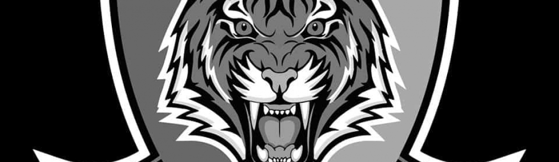 Luto en el fútbol bogotano: asesinan a presidente de Tigres FC